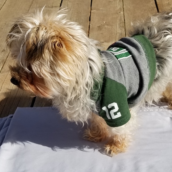 Inspiration......Ideas......Hyacinth - Picture 4 of 6